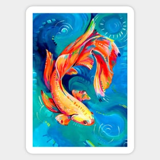 Betta fish, Siamese fighting fish Sticker